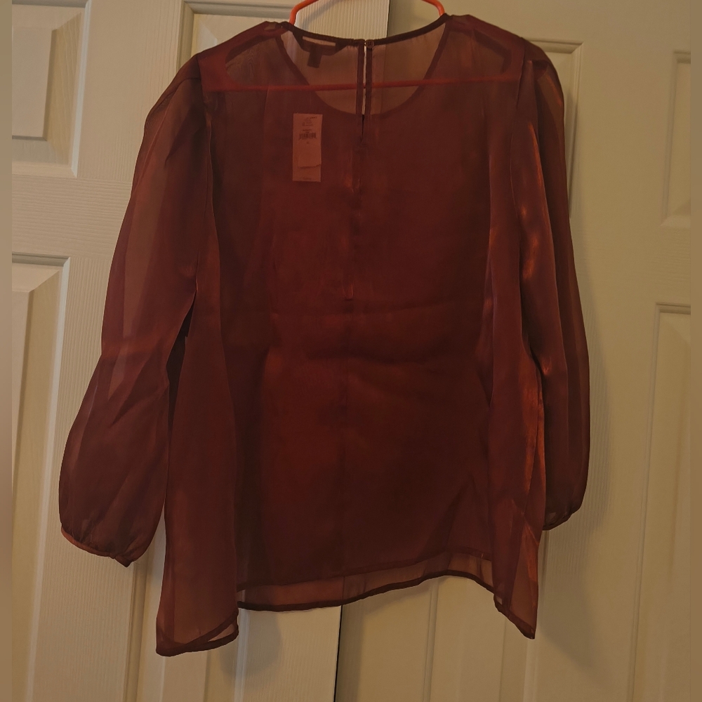 Banana Republic Burnt Orange Sheer Blouse - Picture 2 of 4